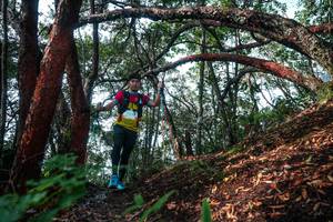 BIB: 
                            <button type="button" onclick="openModal(26344628)" class="btn btn-primary btn-sm float-right btn-popup" data-toggle="modal" data-target=".modal-high-quality">
                        <i class="fas fa-shopping-cart"></i> Add to Cart
                    </button>
                                            <button type="button" onclick="isThisMe(26344628, true)" class="btn btn-success btn-sm float-right btn-popup btn-isme hidden" data-toggle="tooltip" data-placement="bottom" title="นี่คือรูปของคุณใช่ไหม คลิกที่นี่เพื่อเอาเข้าอัลบั้ม">
                        <i class="fas fa-plus"></i> Add to album
                    </button>
                    <button type="button" onclick="isThisMe(26344628, false)" class="btn btn-warning btn-sm float-right btn-popup btn-isnotme hidden">
                        <i class="fas fa-ban"></i> Remove from album
                    </button>